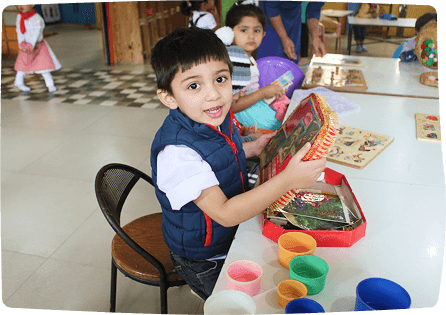Role of Language in Montessori Education